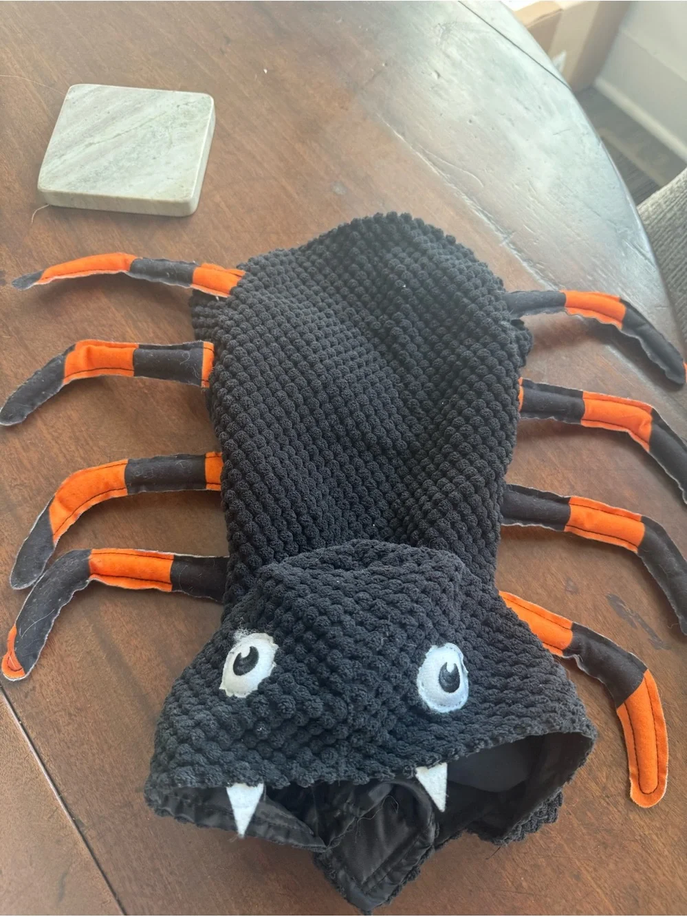 Vibrant Life Small Dog Spider Halloween Costume Black Orange